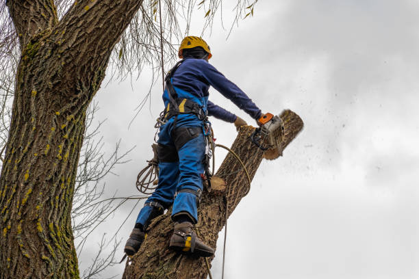 Mulching Services in Depoe Bay, OR